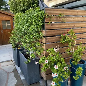 https://superbe-appartement-a-proximite-du-centre-darles.fr-provencehotel.com